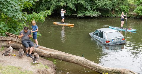 Goose whisperer, stand-up paddlers and car in the river