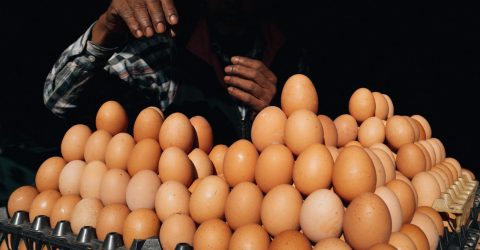 The Hands of the Egg Seller