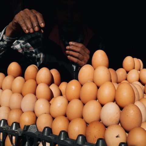 The Hands of the Egg Seller