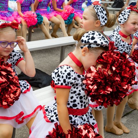 Wisconsin State Fair 2021