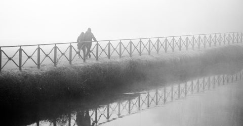 Walk in the fog