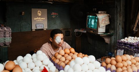 Eyepatch & The Great Egg Pyramids of Egypt