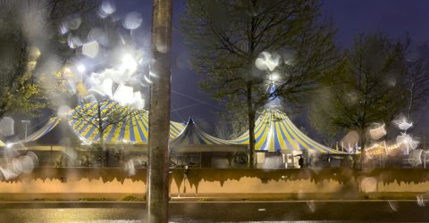 Circus