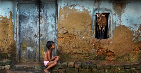 CHILD AND GOAT