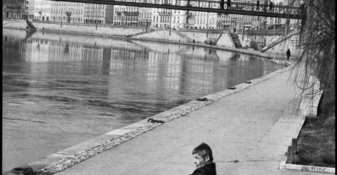 Banks of the Saône River