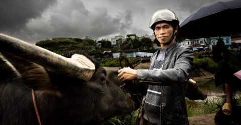 Vietnam Mercato