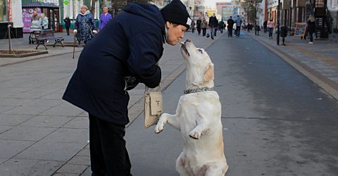 On the streets of Saratov