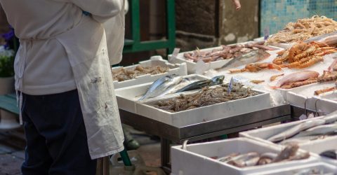 End of the day at the fish market