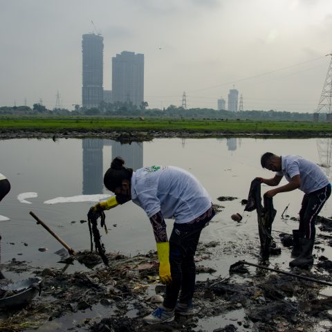 River Rejuvenation