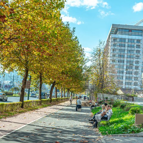 Autumn on Sarajevo’s street