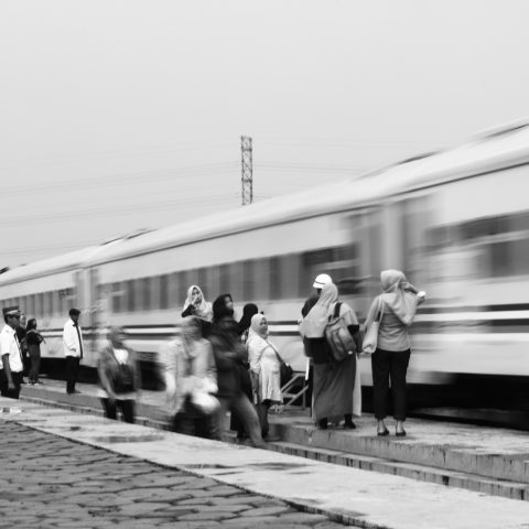 Train and Passenger