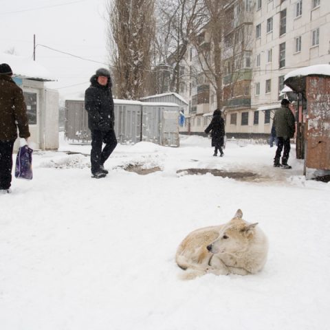 Lisichansk, january 2018.