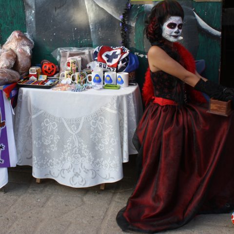 Dia de los Muertos