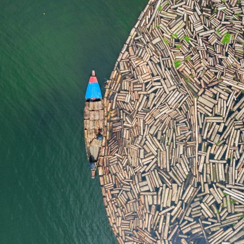 Wood floating in water