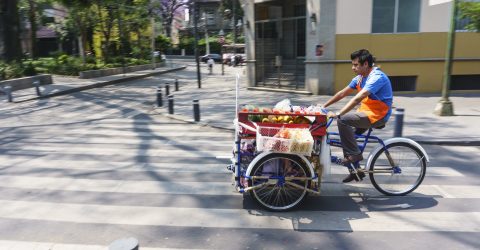 A Fruit Movil Vendor