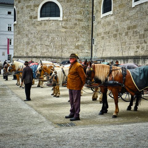 Charioteers Waiting For Customers