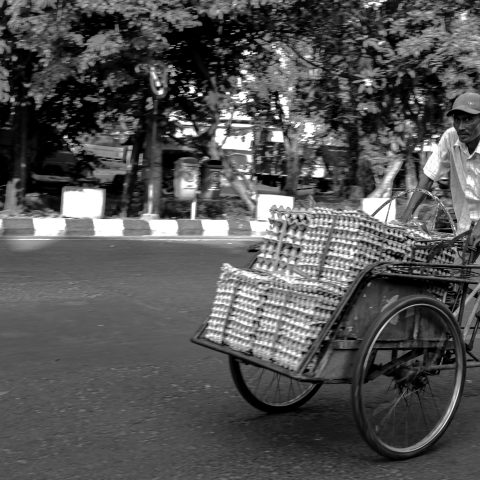 egg seller man