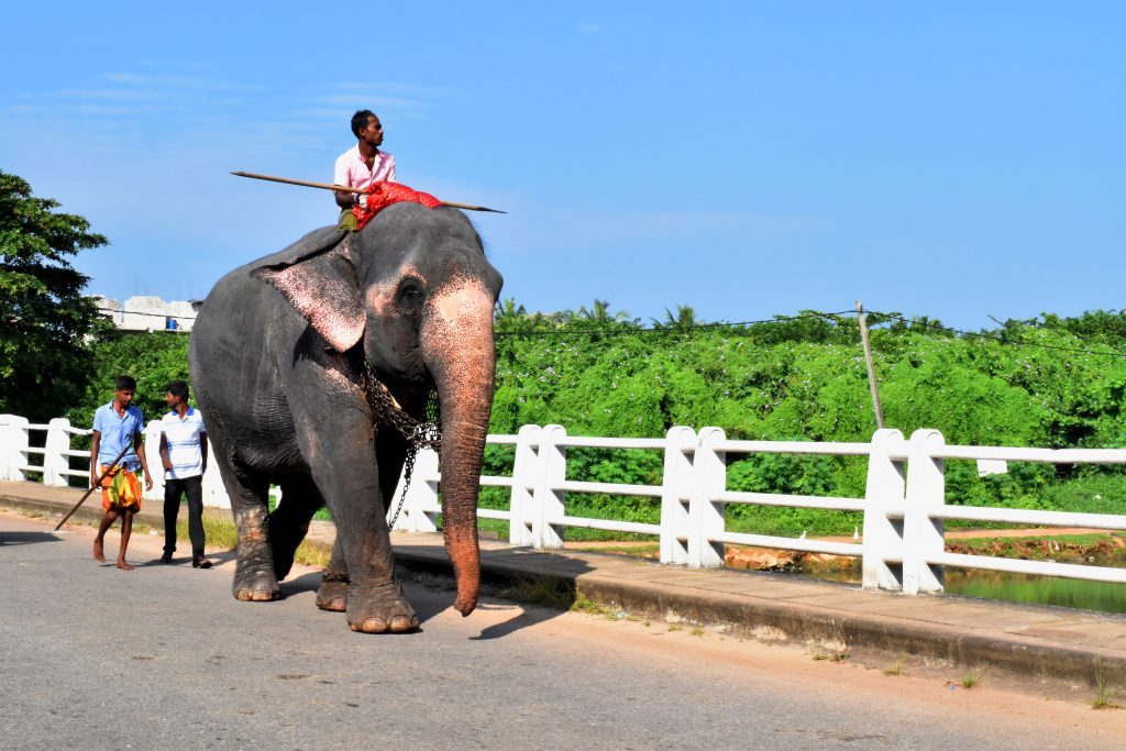 on-the-way-to-home-exibart-street