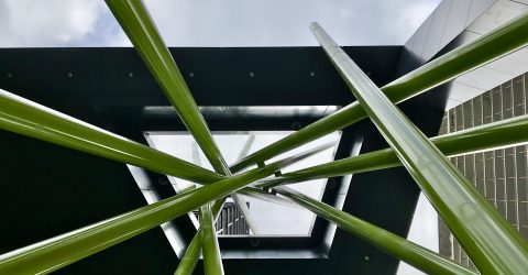 Green Poles Reaching for the Sky