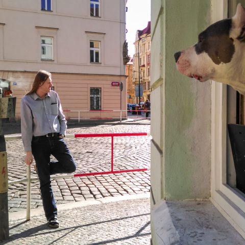 Streetlife of Prague