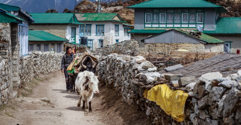 Everyday life in the Himalayas