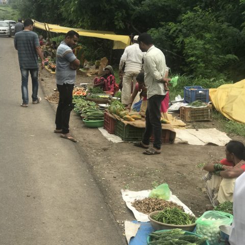 Daily Market