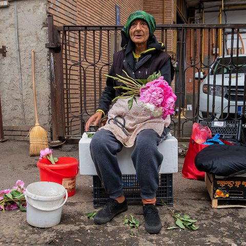 Gypsy flower seller