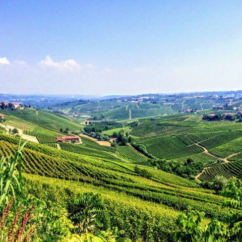 Barbaresco around