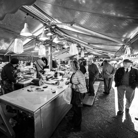 Fish Market stories 01