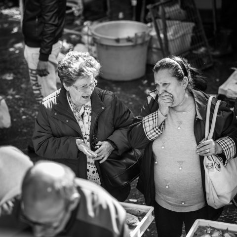 Fish Market stories 03