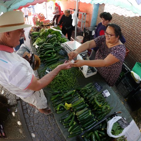 AT THE VEGETABLE MARKET…THANKS!