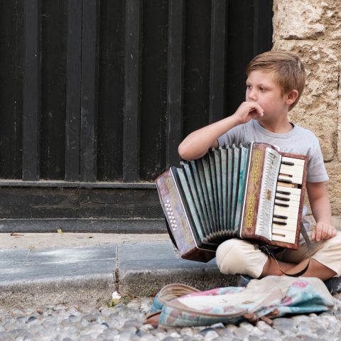 Accordionist