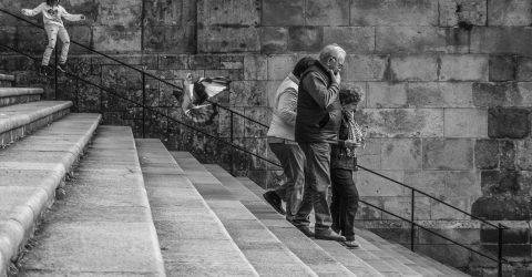 The Life of the stairs