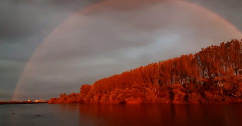 Rainbow in river Sava