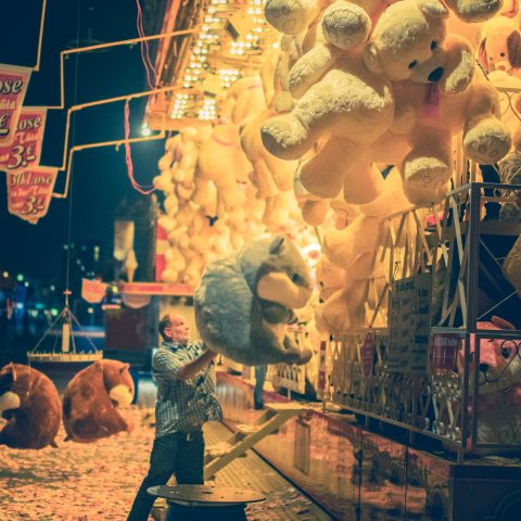 Teddys and a Hamster